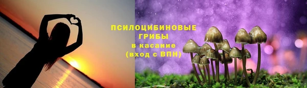 спайс Алзамай