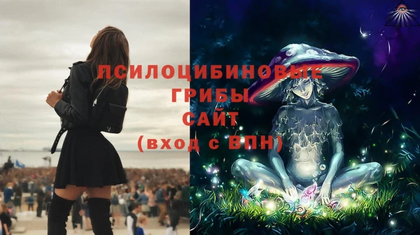 экстази Алексеевка