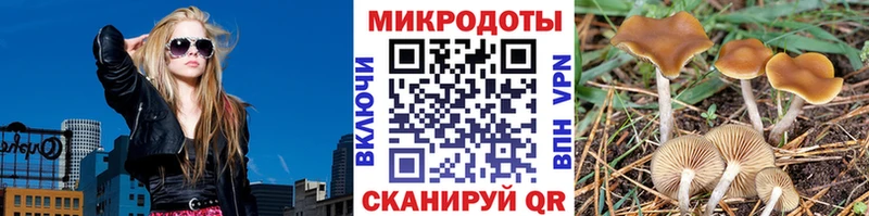 Галлюциногенные грибы ЛСД  Курчалой 