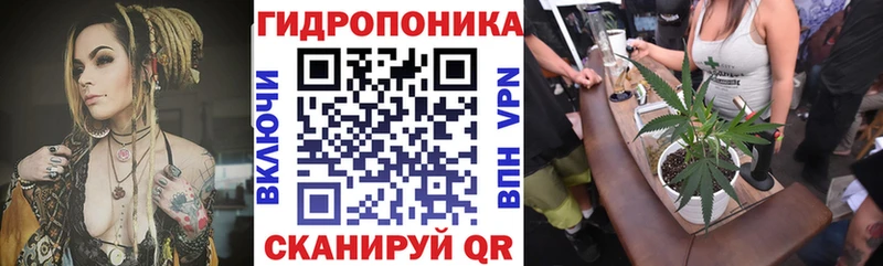 Бошки марихуана индика  KRAKEN онион  Курчалой 